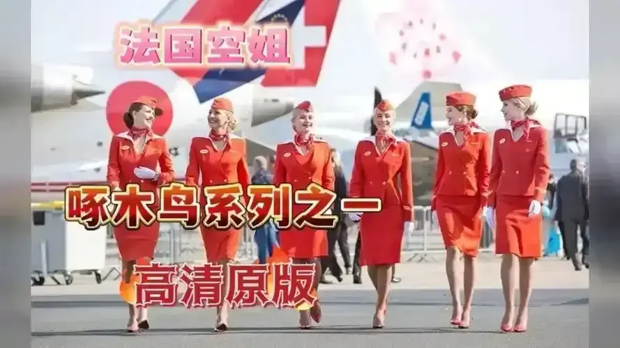 《法国空姐2019/不雅空乘》<br />
《法国航空/法国空姐》相关资源图片