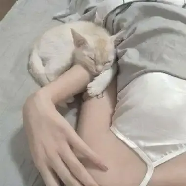 《昆廷夫夫合集》